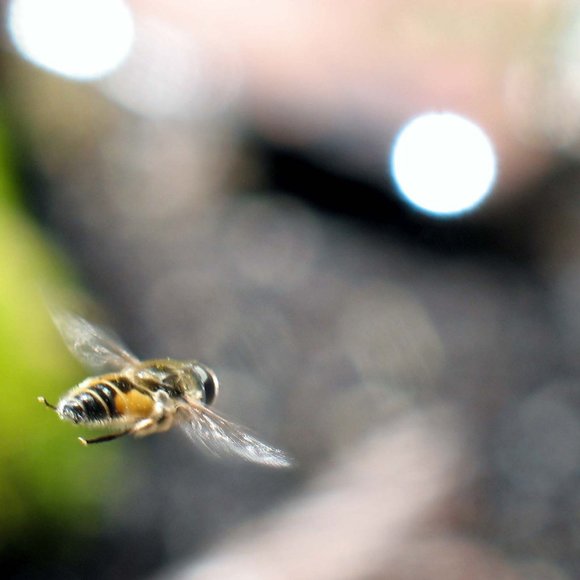 Meet your Posher, Erin - Picture 1 of 1